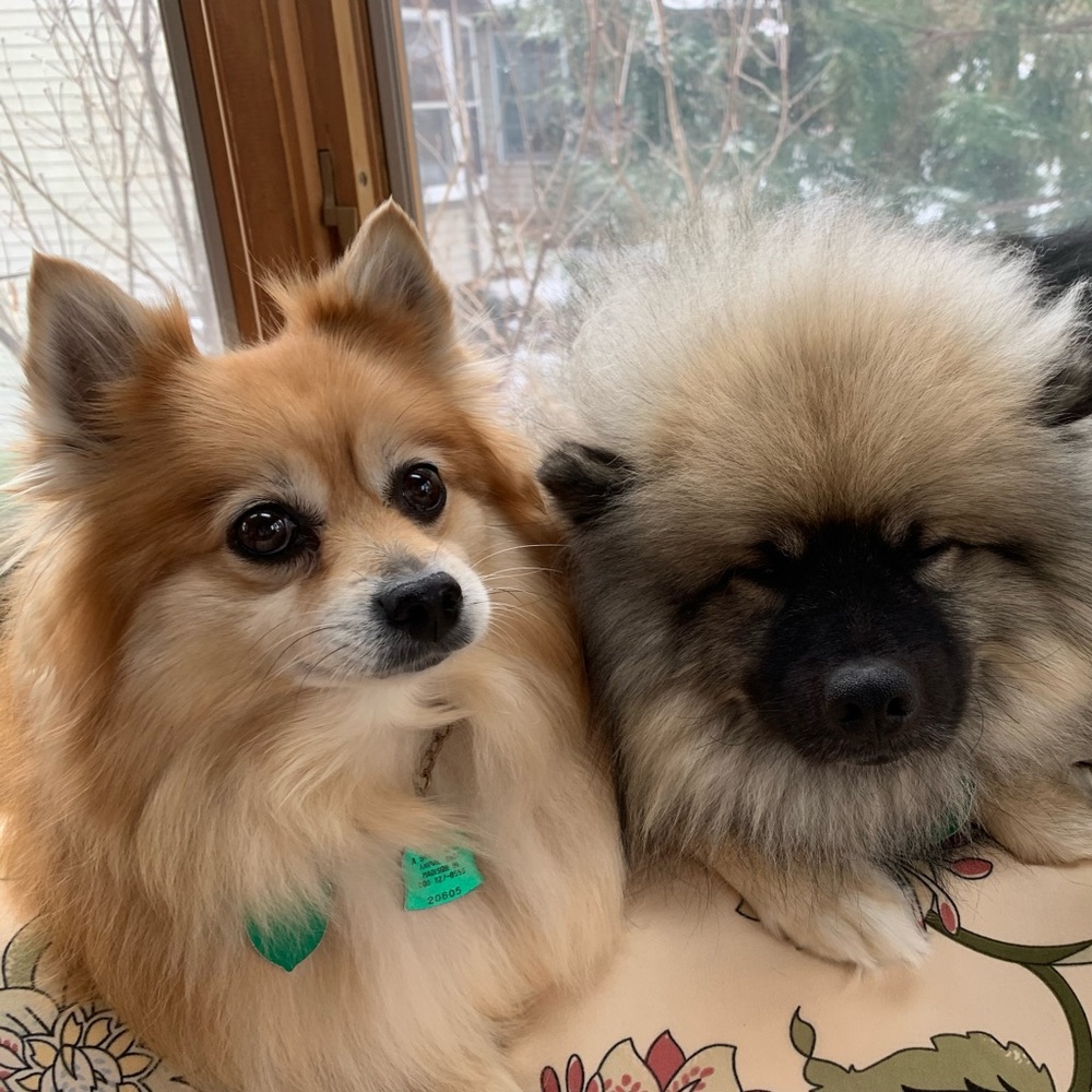 Meet your Posher, Lily